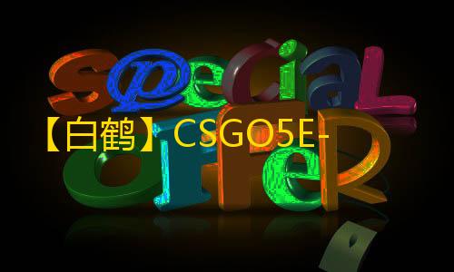 【白鹤】CSGO5E-辅助