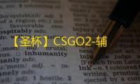 【圣杯】CSGO2-辅助