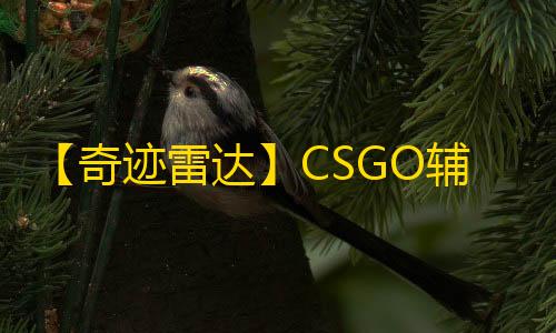【奇迹雷达】CSGO辅助
