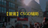 【蛋蛋】CSGO辅助