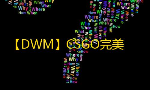 【DWM】CSGO完美-辅助