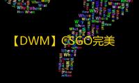 【DWM】CSGO完美-辅助