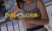 【NB】CSGO完美-辅助