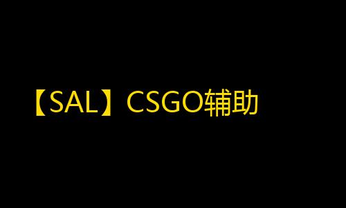 【SAL】CSGO辅助