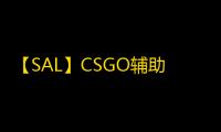 【SAL】CSGO辅助