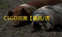 CSGO完美【暴风/透饰/梓喵/仅支持完美平台】辅助