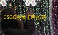 CSGO完美【茅台/透饰/梓喵/支持完美】辅助