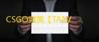 CSGO完美【TAN/透饰/梓喵/焕肤/仅支持完美】辅助