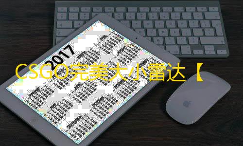 CSGO完美大小雷达【射手座/大小雷达/支持完美平台】辅助