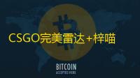 CSGO完美雷达+梓喵【玄武/雷达透饰/梓喵/仅支持完美平台】辅助