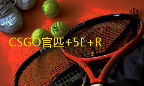 CSGO官匹+5E+R0三平台支持【真龙/透饰/梓喵】辅助