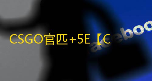 CSGO官匹+5E【COCO/透饰/梓喵/5E+官匹】辅助