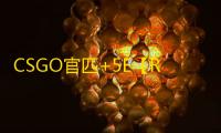 CSGO官匹+5E【RW/透饰/梓喵/支持官匹/支持5E】辅助