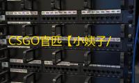 CSGO官匹【小姨子/透饰/梓喵/只支持5E平台】辅助