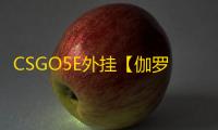 CSGO5E外挂【伽罗/透饰/梓喵/仅支持5E】辅助
