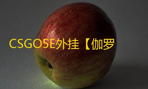 CSGO5E外挂【伽罗/透饰/梓喵/仅支持5E】辅助