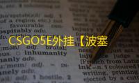 CSGO5E外挂【波塞冬/透饰/梓喵/只支持5E平台】辅助