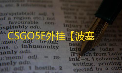 CSGO5E外挂【波塞冬/透饰/梓喵/只支持5E平台】辅助