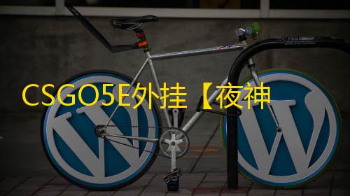 CSGO5E外挂【夜神/扳机全功能/仅支持5E】辅助