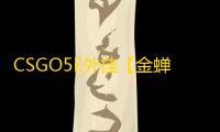 CSGO5E外挂【金蝉/透饰/梓喵/仅支持5E/过玄武磐石】辅助