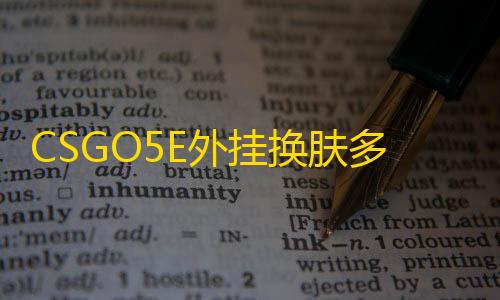 CSGO5E外挂换肤多功能【飓风/透饰/梓喵/换肤/仅5E平台】辅助